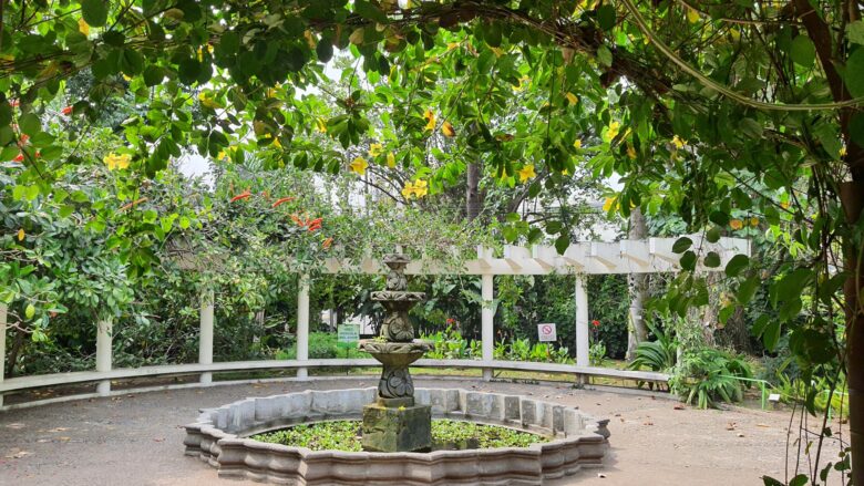 エルサバドルのJardín Botánico Plan de la Laguna植物園の噴水